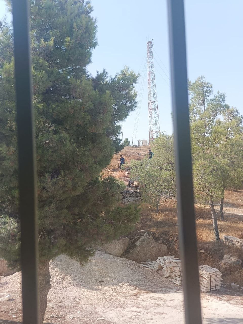 Israeli settlers storm Bedouin community in Masafer Yatta, West Bank