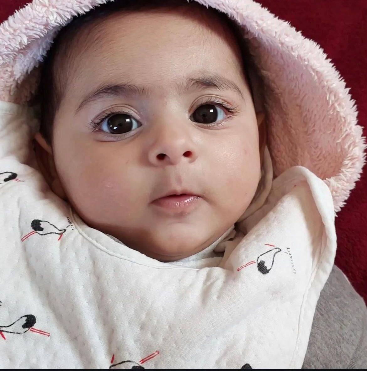 Baby Zeina Ibrahim killed by Israeli missiles in Gaza tent