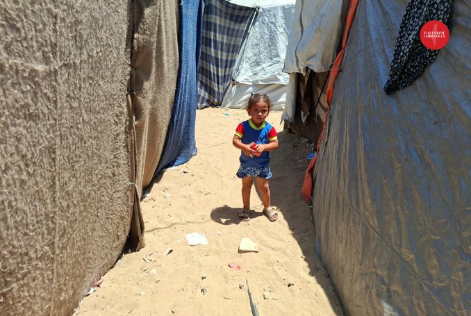 Displaced mother endures extreme heat in southern Gaza camp