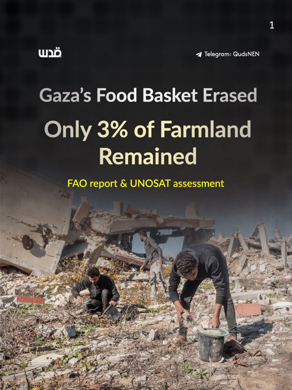 FAO/UNOSAT: 87% of Gaza cropland damaged, Rafah farmland inaccessible