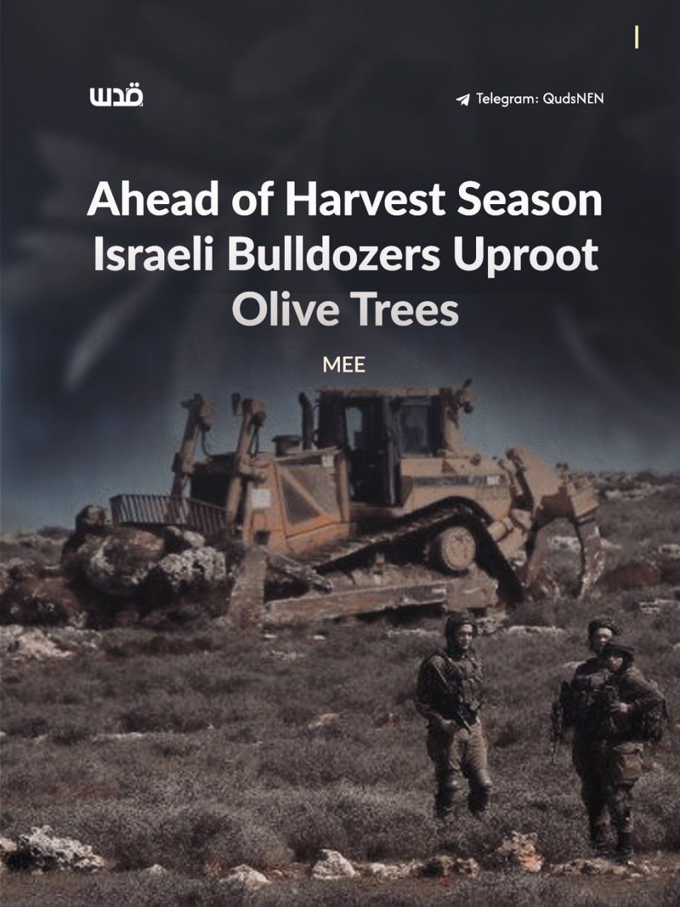 Israeli forces destroy Palestinian groves in West Bank