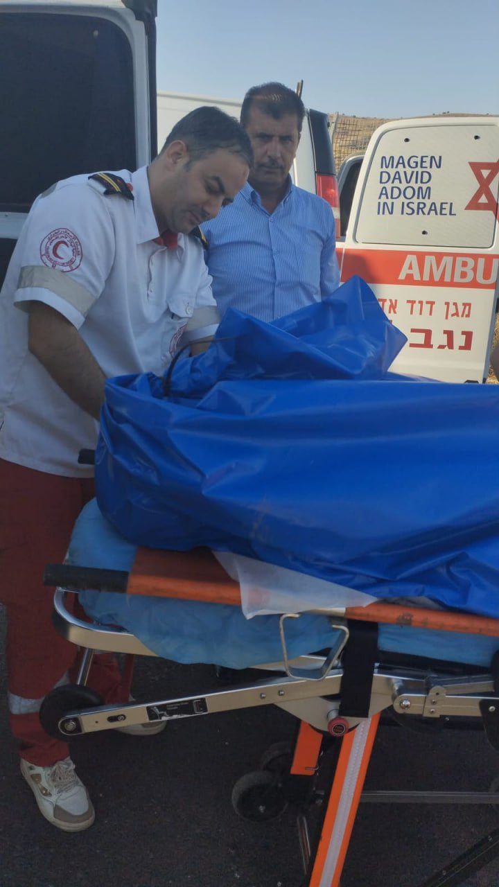 Israeli settlers kill Alaa Khaled Subeih in Tubas, West Bank