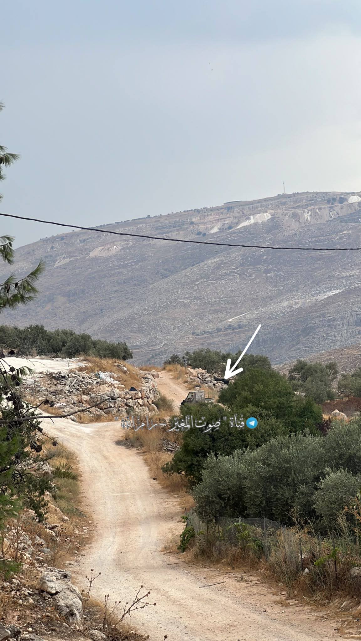 Israeli settlers trespass on Palestinian land in Al-Mughyir, West Bank