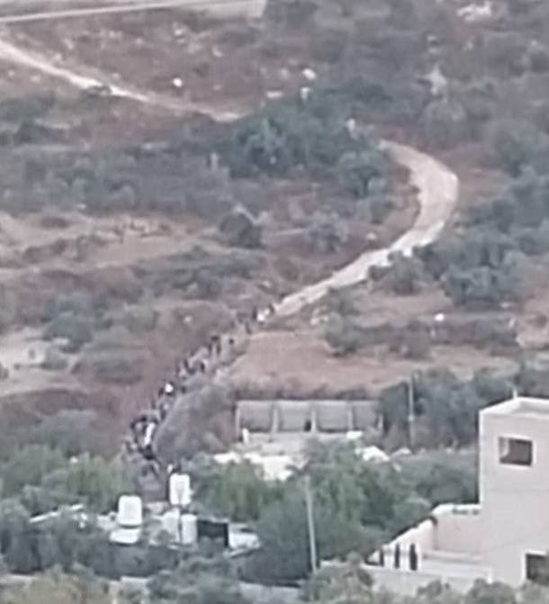 Settlers storm village of Tal southwest of Nablus under Israeli protection