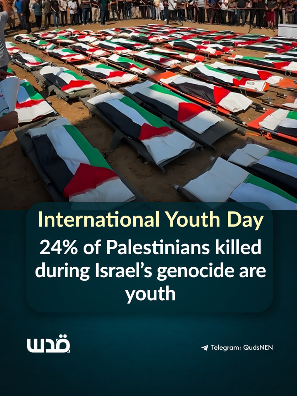 Palestinian youth 21% of population; 24% of Gaza dead