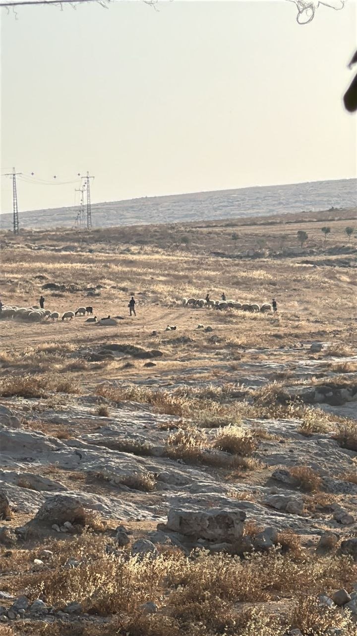 Israeli settlers storm Bedouin community in Hebron, assault Palestinians