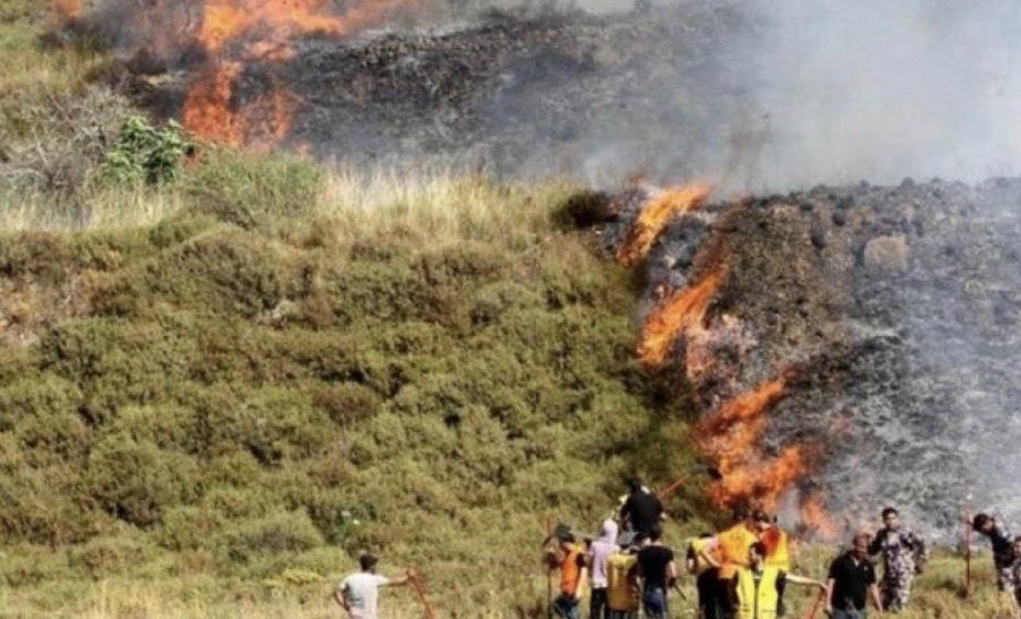 Settlers burn Palestinian olive orchards in Aqraba, West Bank