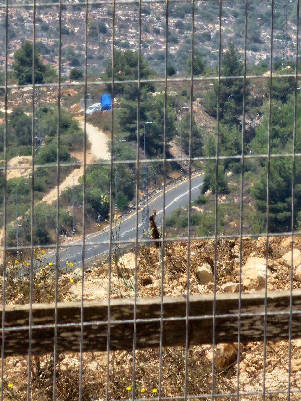 Israeli settlers establish new outpost near Rawabi junction, Ramallah