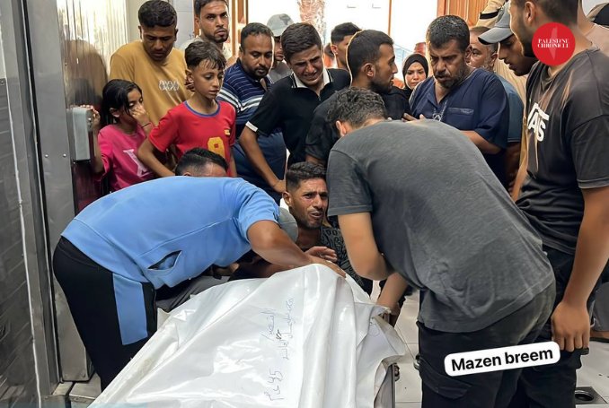 Two Palestinians killed in Israeli drone strikes in Gaza