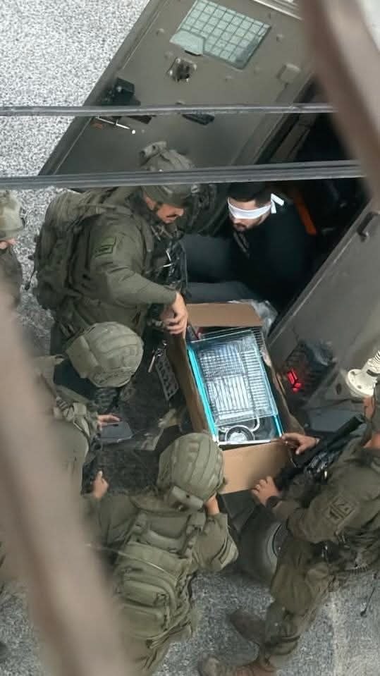 Israeli forces abduct Palestinian youth in Nablus, West Bank