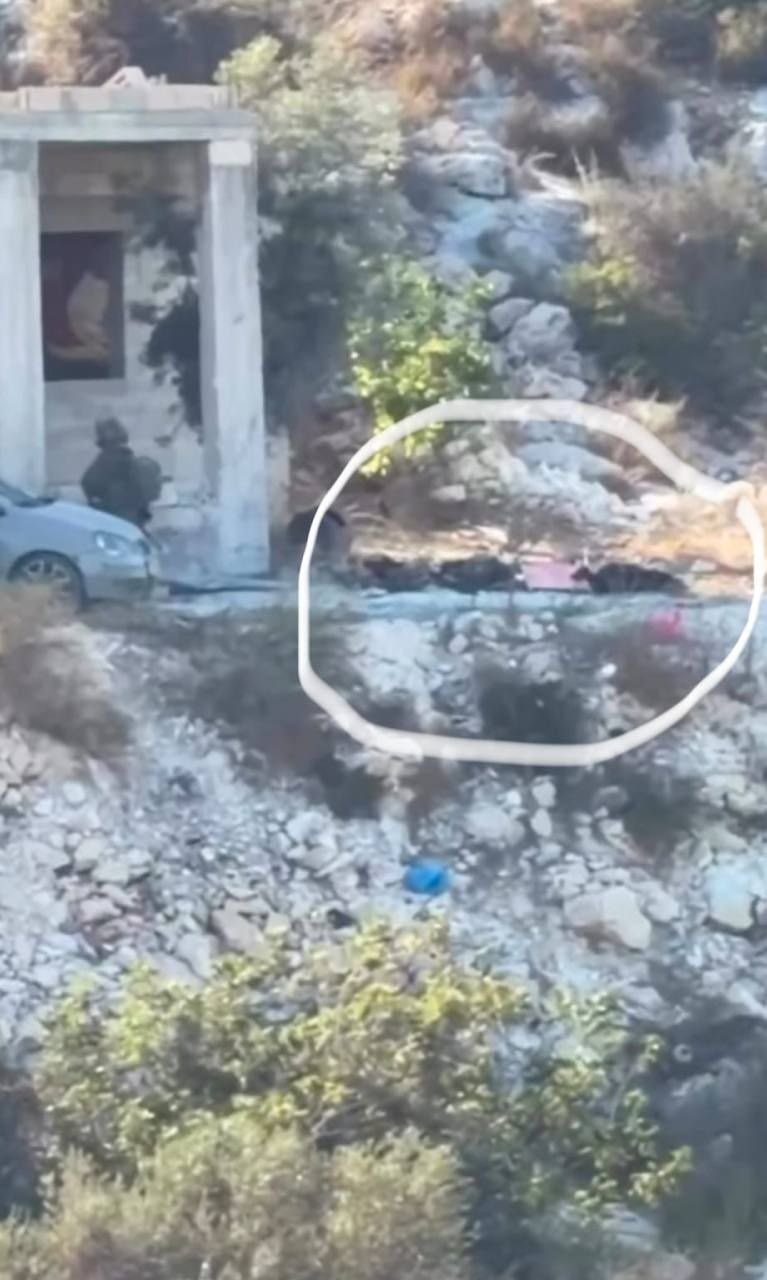 Three martyrs killed in Israeli airstrike in Jenin