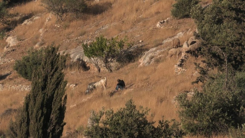 Israeli settlers attack Palestinian farmers in Al-Khaleel, West Bank