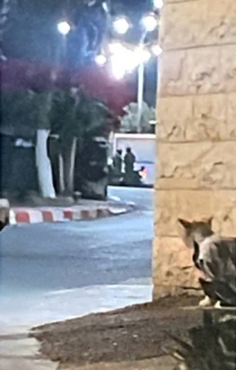 Israeli forces detain Palestinian in raid on Faqoua, east of Jenin