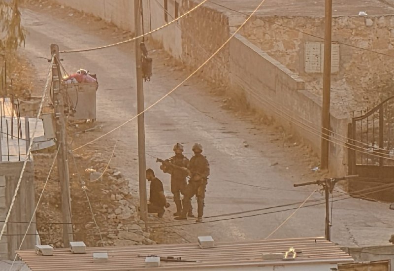 Israeli forces assault and detain Palestinian in Raba, West Bank
