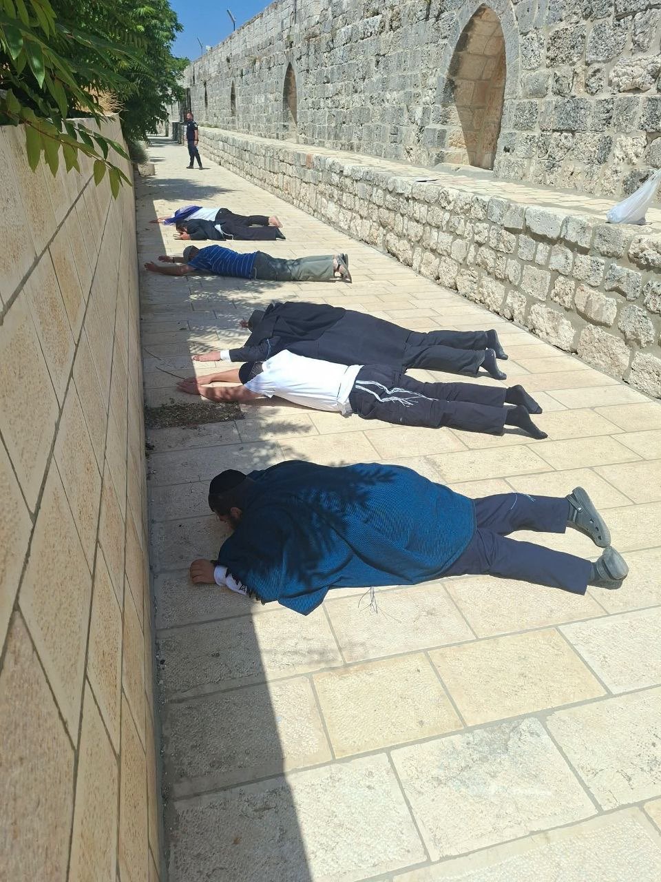 Israeli settlers storm Al-Aqsa Mosque compound under occupation protection