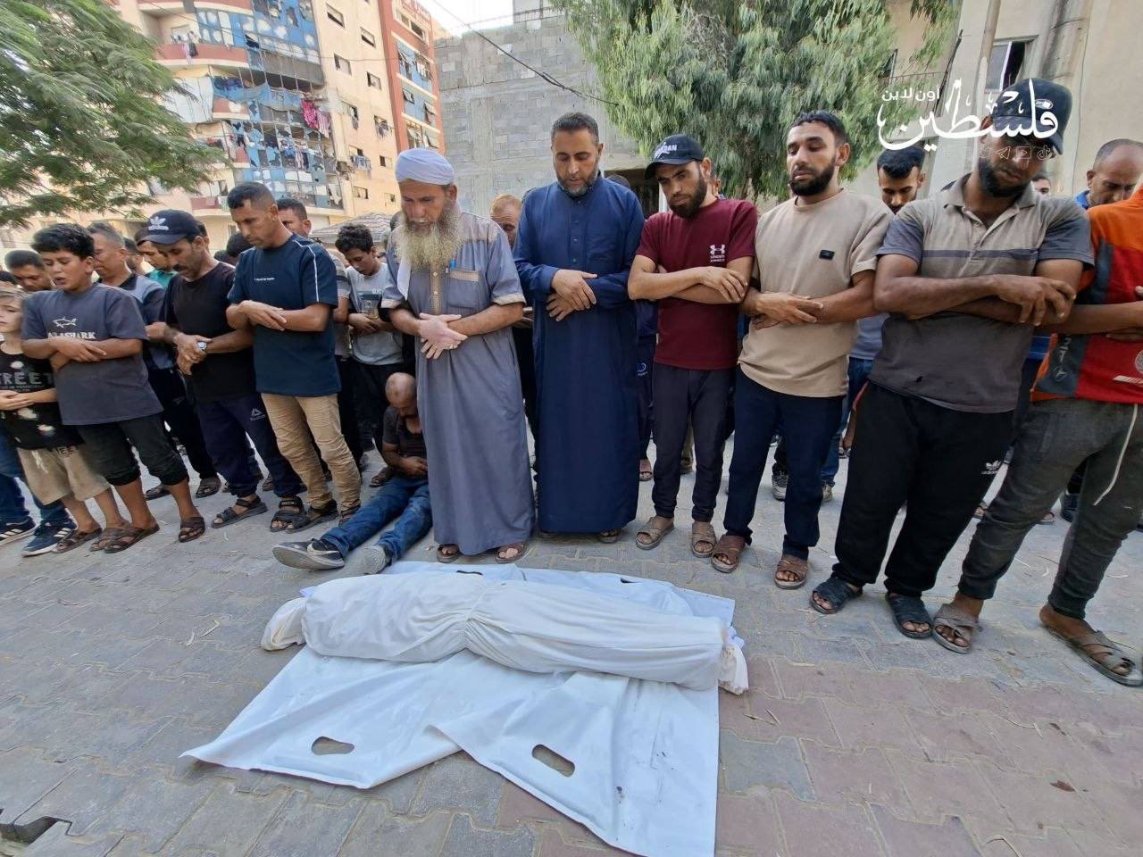 Palestinian child Mahmoud Marouf killed in Israeli airstrike on Gaza City