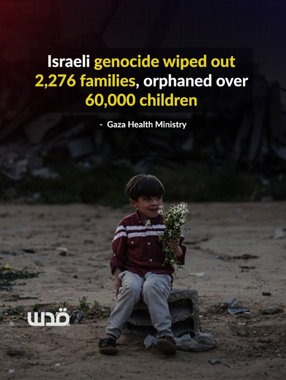 Gaza Health Ministry: 2,276 families erased from civil registry