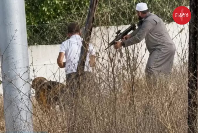 Israeli ex-official warns settler violence pushes West Bank to permanent conflict