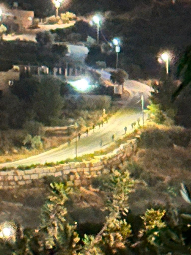 Israeli forces storm Karam al-Nimr area in Beita, Nablus