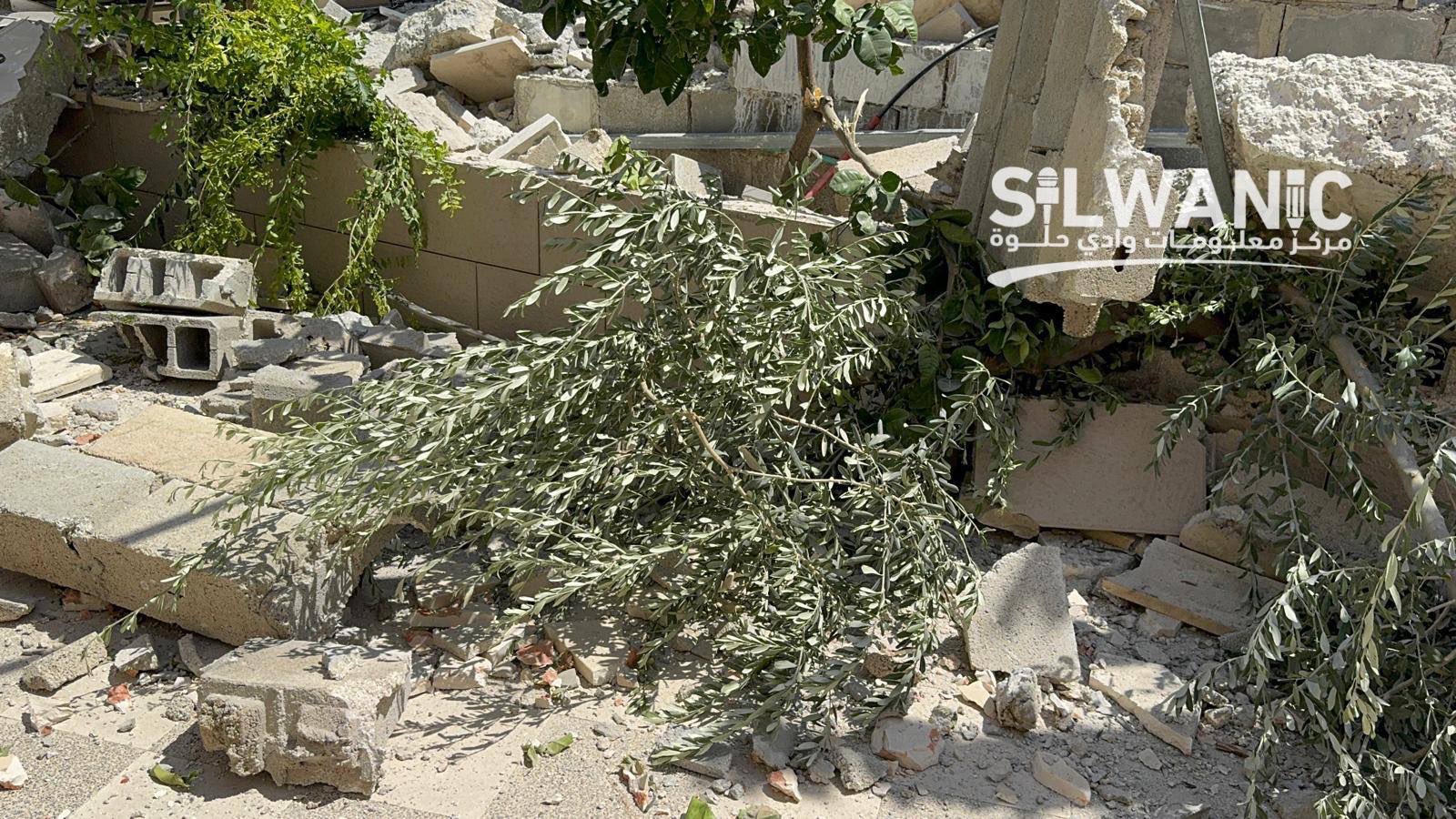 Israeli municipality razes trees at demolished Palestinian home in Al-Tur, Jerusalem
