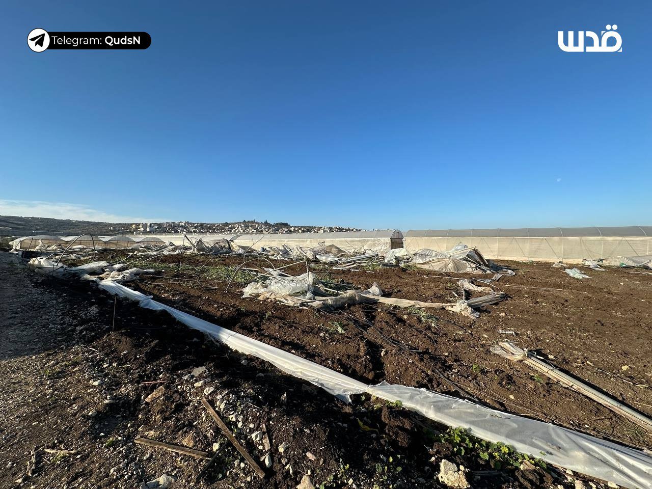Israeli forces bulldoze greenhouses and farmland in West Bank