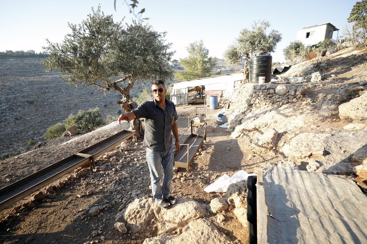 Palestinian farmer’s sheep stolen by Israeli settlers in Ein Arik