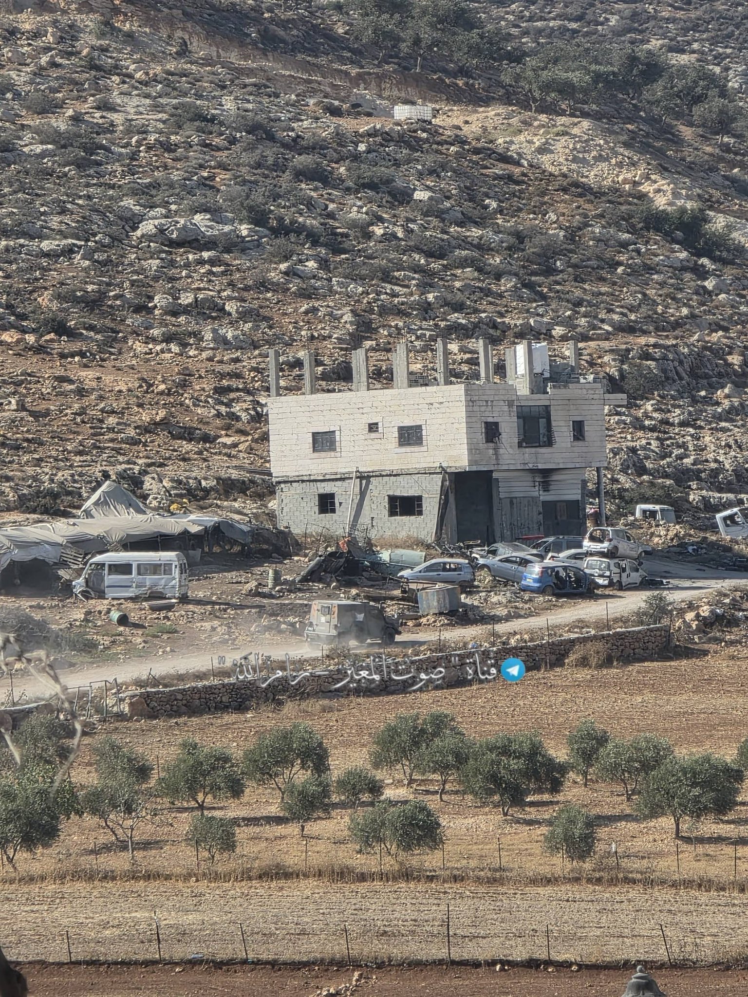 Israeli settlers harass Palestinians near Al-Mughyir village, West Bank